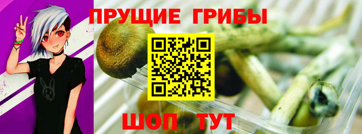 Купить наркотик  МАРИХУАНА  Вход с VPN  A-PVP СОЛЬ кристаллы  Отрадный  Меф МЯУ МЯУ   ГАШ  АМФЕТАМИН  